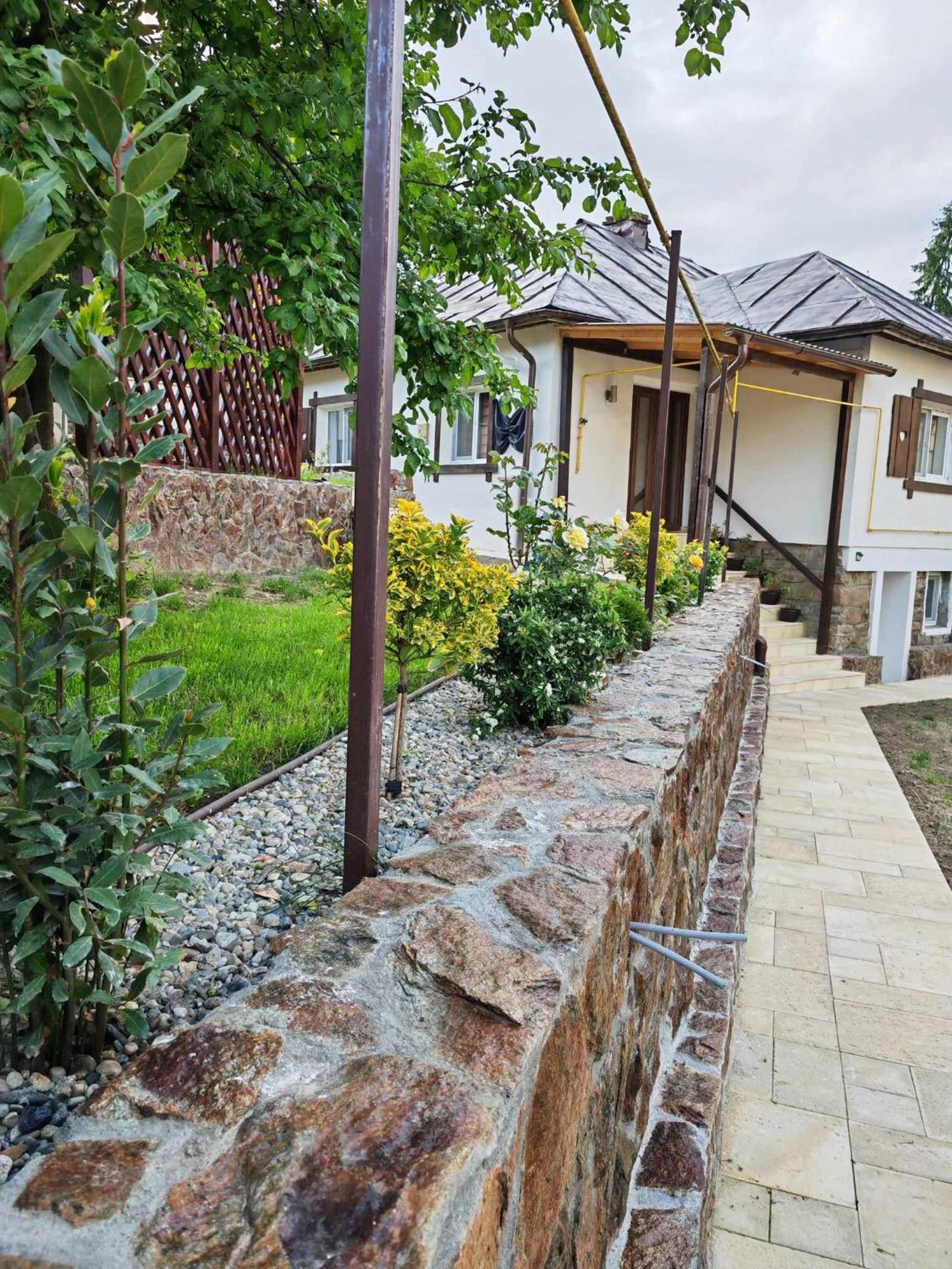 Casa Tihna Villa Baile Olanesti Bagian luar foto